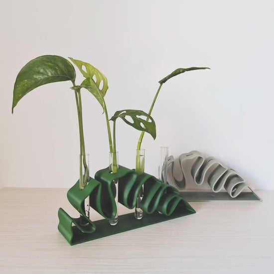 Monstera Leaf Propagation Stand, Hydroponic Test Tube Holder, Rooting Vase with Plastic Vials, Cuttings Grow Station, 3D printed organizer