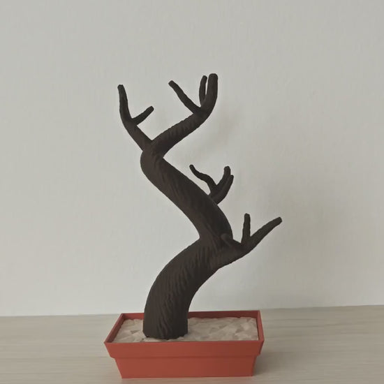 Bonsai Air Plant Holder, Tillandsia Display, 3D Printed Planter, Gift for Plant Lovers, 3D Printed