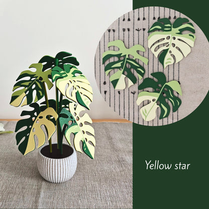 Monstera Coaster Set with Leaf Holes